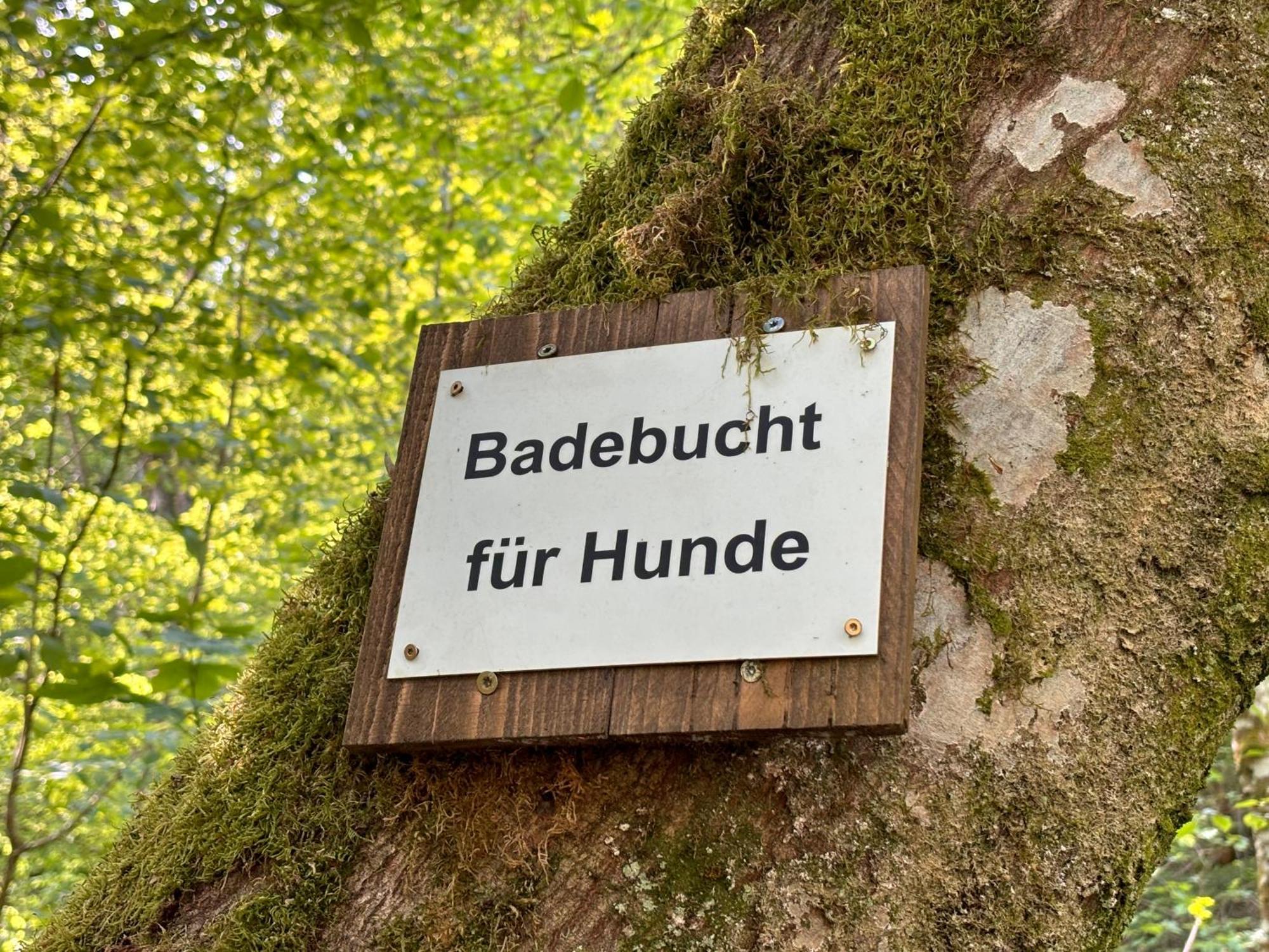 Plaetzchen Am Krebsberg Fuer Alle Fae Simmerath Exterior photo